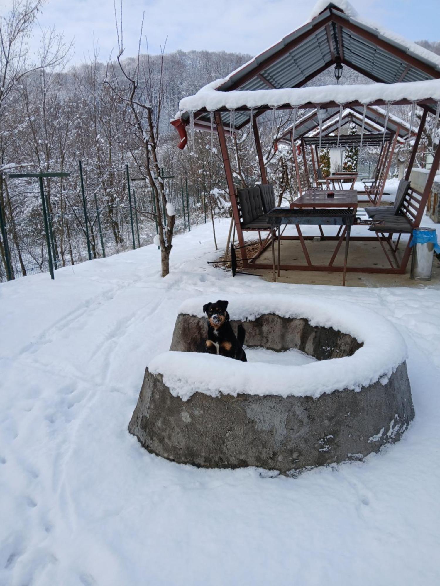 Perla Argesului, Ciubar, Piscina, Lift, Gratar, Cabana, Pensiuni, Hotel Cazare Transfagarasan Curtea De Arges Albestii de Arges Kültér fotó