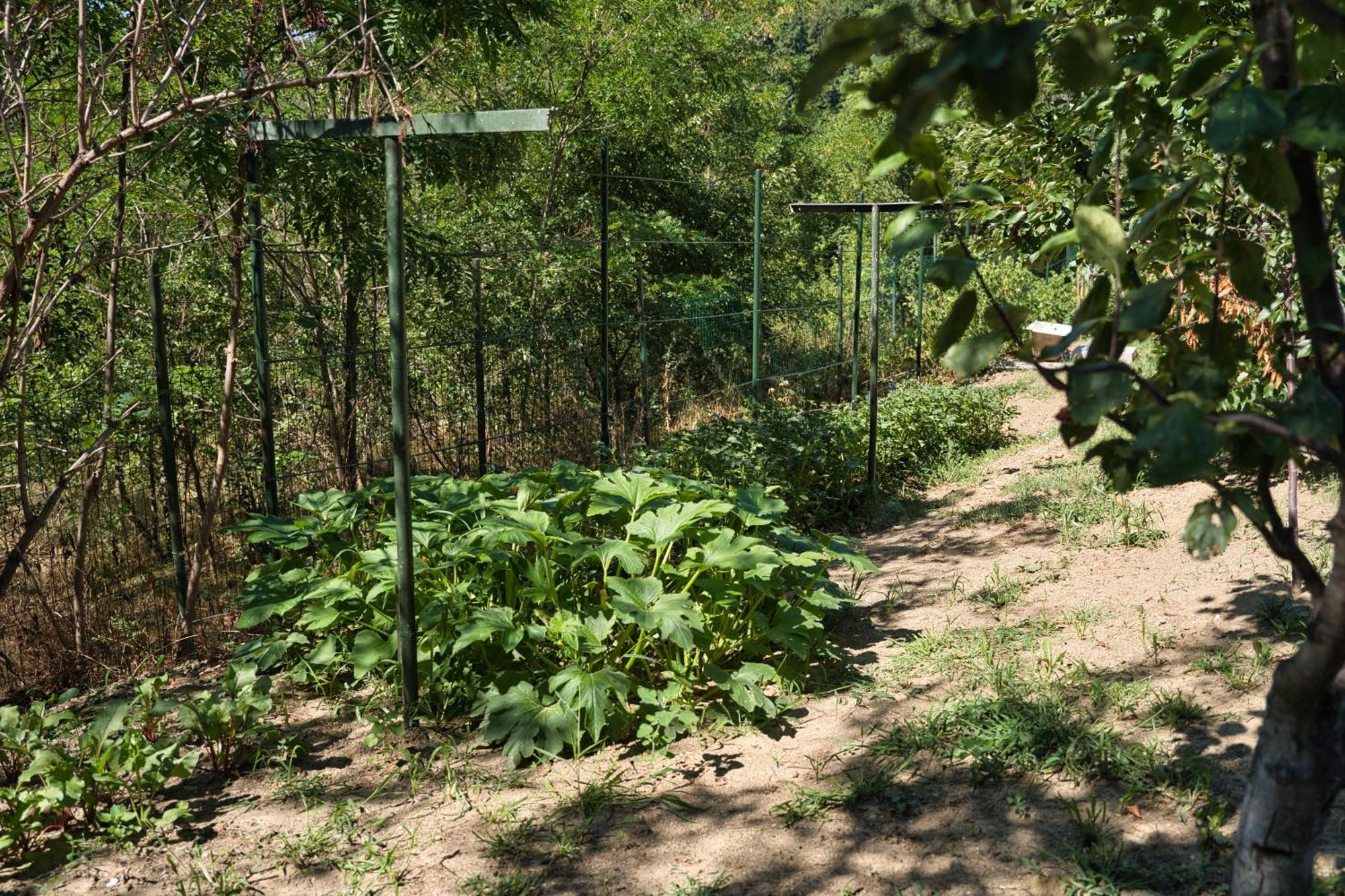 Perla Argesului, Ciubar, Piscina, Lift, Gratar, Cabana, Pensiuni, Hotel Cazare Transfagarasan Curtea De Arges Albestii de Arges Kültér fotó